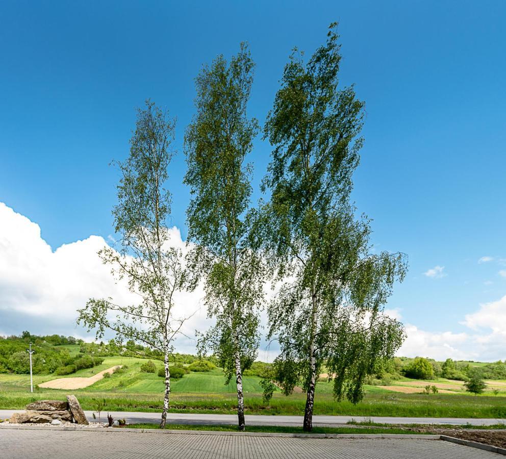 Agrohotel Tri Brezy Hrustin Exterior photo